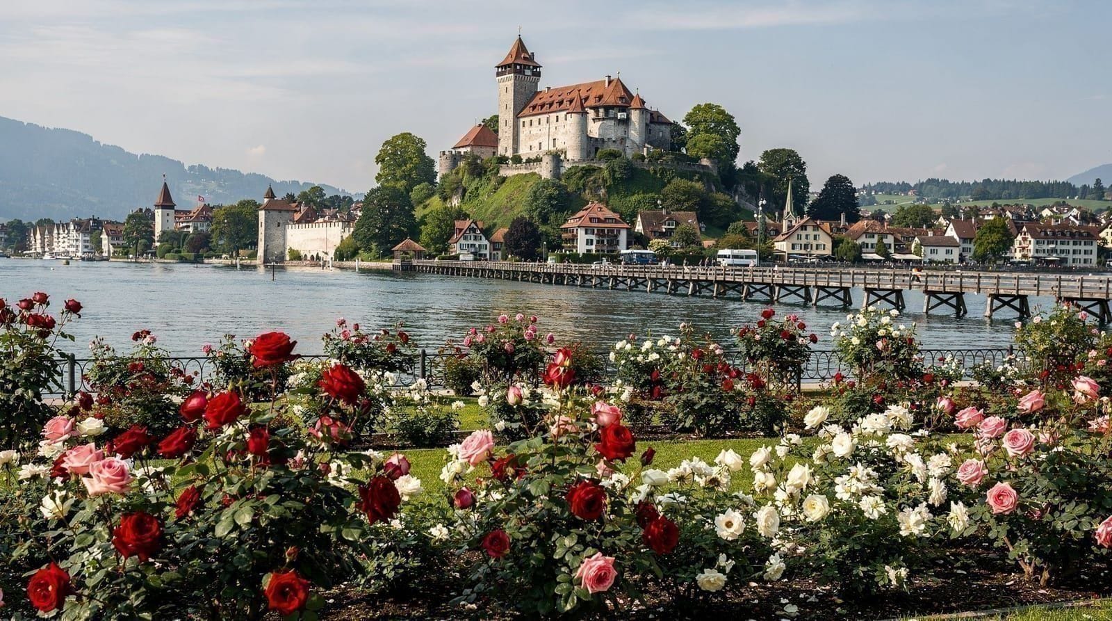 Rapperswil, het rozenstadje aan het Zürichmeer